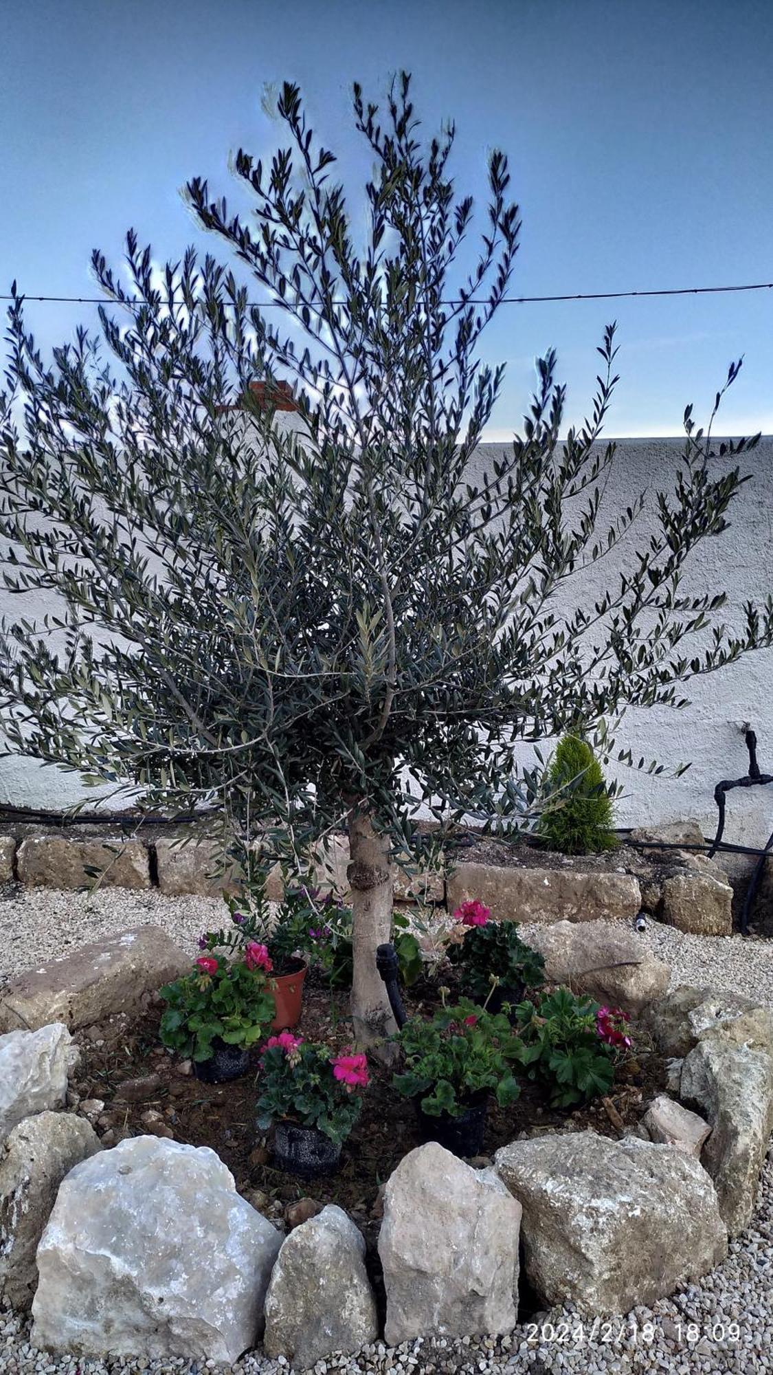 فيلا Casa Cueva El Olivo Pegalajar المظهر الخارجي الصورة