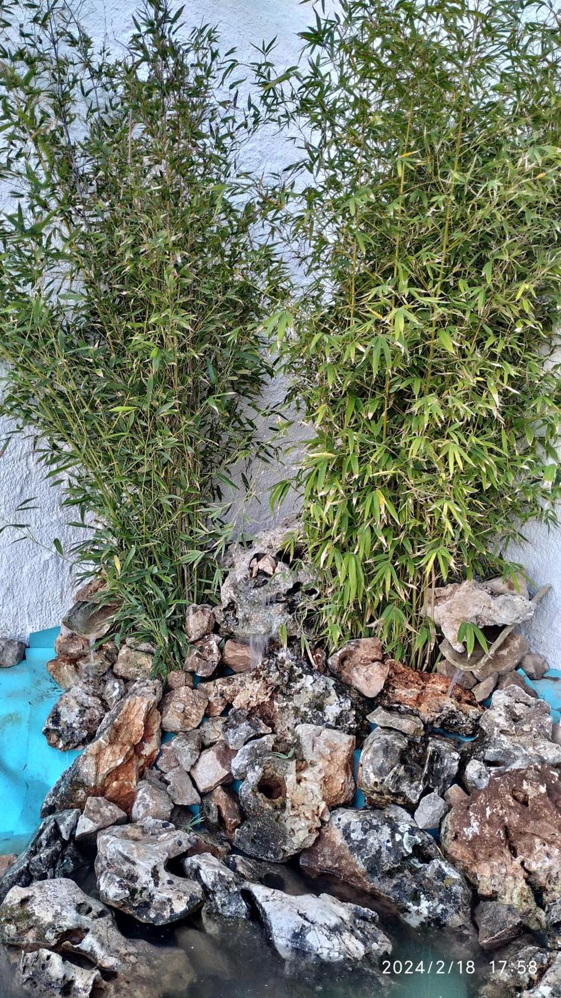 فيلا Casa Cueva El Olivo Pegalajar المظهر الخارجي الصورة